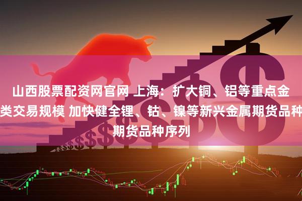 山西股票配资网官网 上海：扩大铜、铝等重点金属品类交易规模 加快健全锂、钴、镍等新兴金属期货品种序列